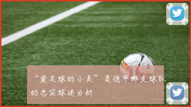 “爱足球的小美”是德甲哪支球队的忠实球迷分析
