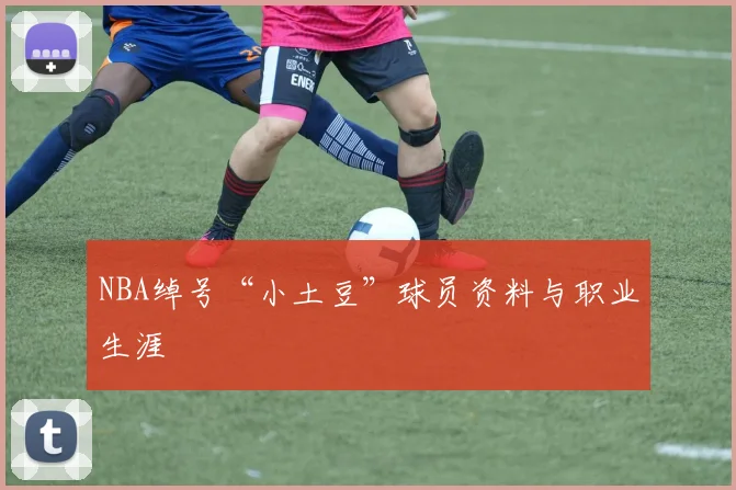 NBA绰号“小土豆”球员资料与职业生涯