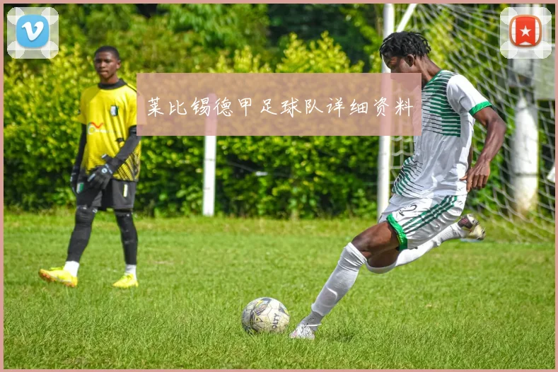莱比锡德甲足球队详细资料