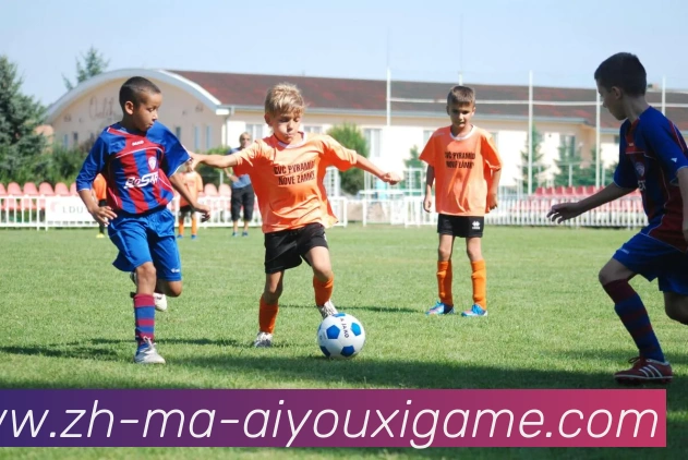 爱游戏平台生态图